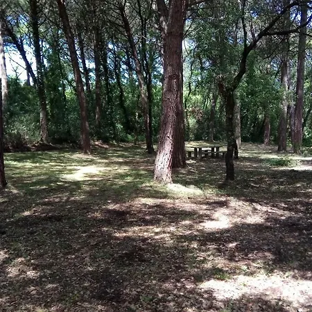 Enjoy The Of Countryside * Λεϊρία