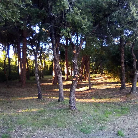 Enjoy The Of Countryside Σπίτι διακοπών